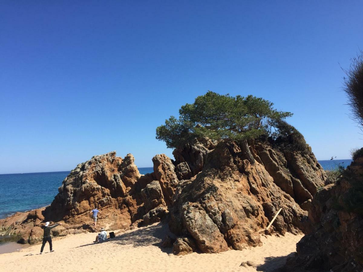 Apartamentos Jardin Turquesa Lloret de Mar Eksteriør billede
